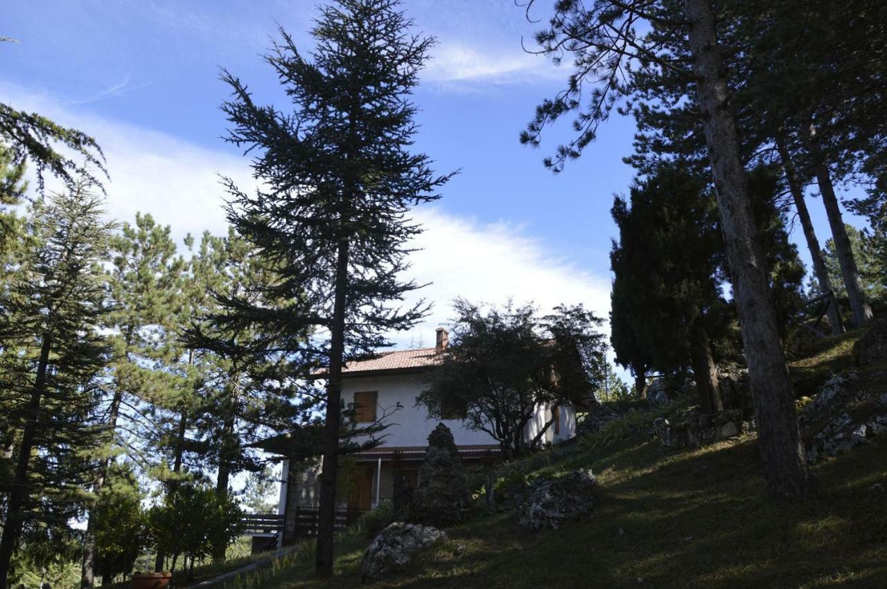 Poggio Eco B&B Ascoli Piceno Buitenkant foto